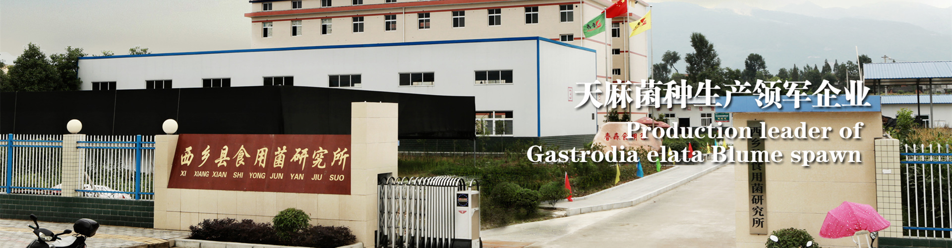 <strong>春森菌種，值得信賴(lài)</strong>