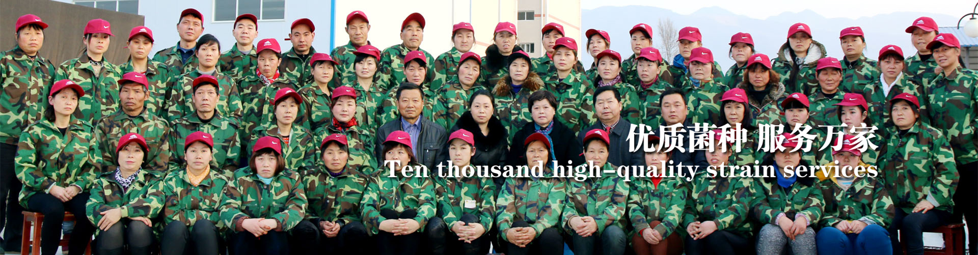 <strong>穩(wěn)定、放心，就選春森</strong>