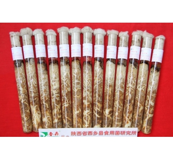 天麻蜜環(huán)菌母種、原種、栽培種