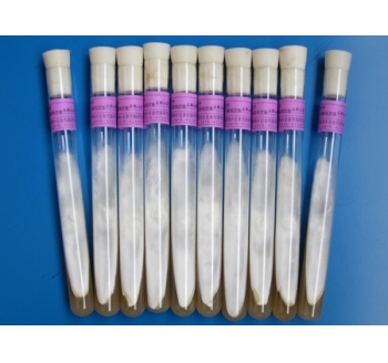 天麻萌發(fā)菌母種、原種、栽培種