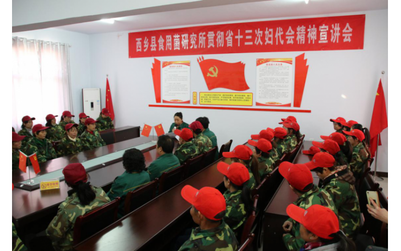 西鄉(xiāng)縣食用菌研究所召開2017年度工作總結(jié)會議暨2018年工作計(jì)劃會議