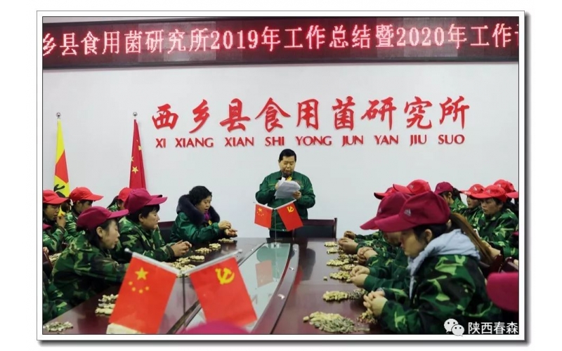 2019春森菌業(yè)年產(chǎn)菌種超過(guò)300萬(wàn)袋（瓶），擴(kuò)建近40畝，經(jīng)營(yíng)再創(chuàng)歷史新高