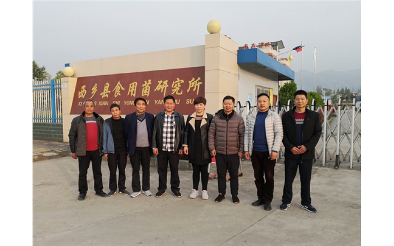 略陽(yáng)縣農(nóng)業(yè)農(nóng)村局副局長(zhǎng)文廣富一行蒞臨春森菌業(yè)參觀交流