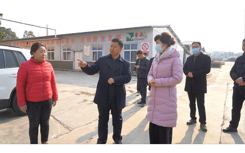 西鄉(xiāng)縣委副書記、縣長王亞珍調(diào)研農(nóng)業(yè)產(chǎn)業(yè)發(fā)展工作